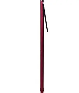 Lifestyle T handle Walking Stick