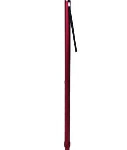 Lifestyle T handle Walking Stick